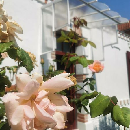 Willa Au Coin Fleuri La Bernerie-en-Retz Zewnętrze zdjęcie